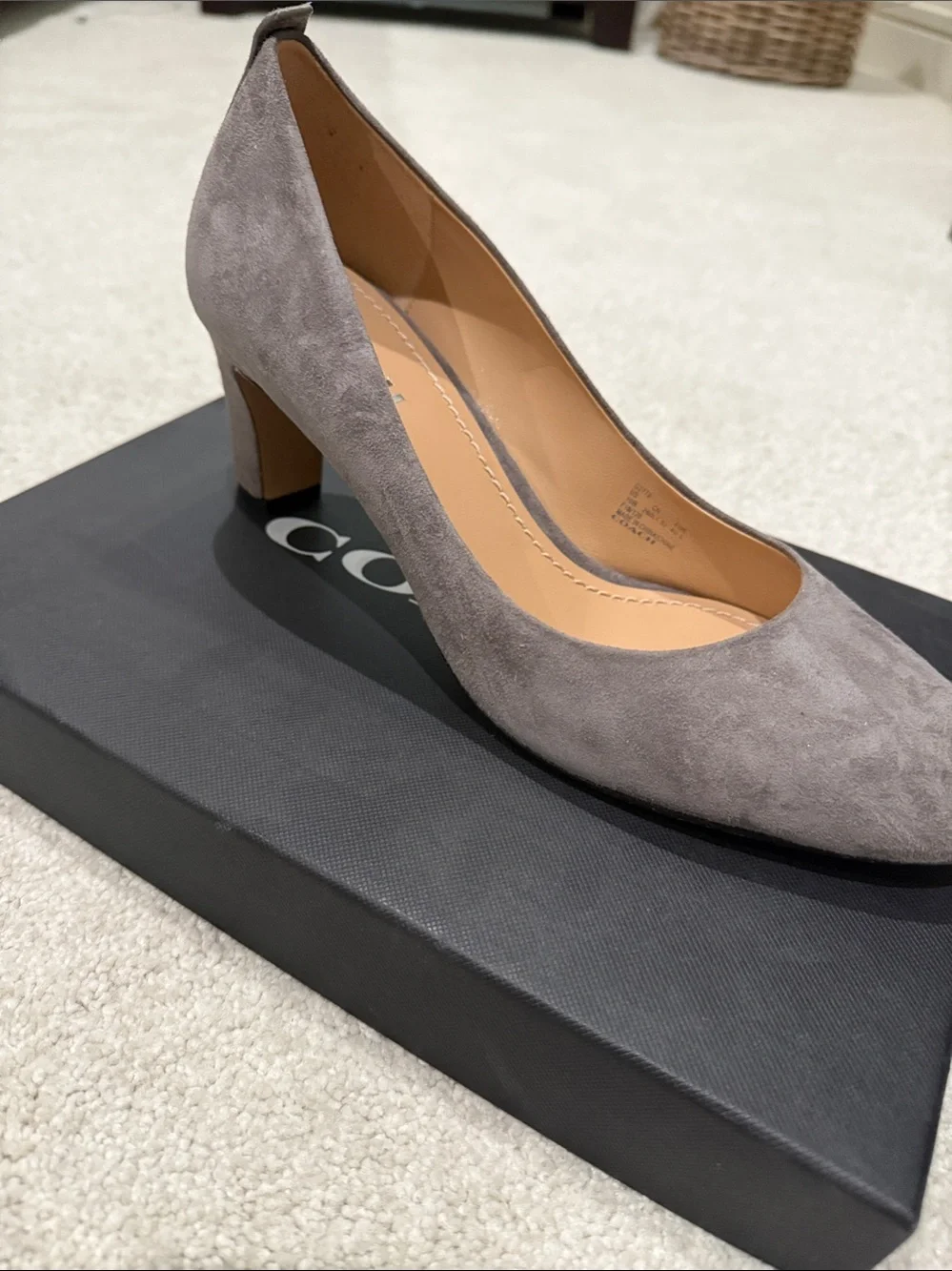 Coach Taupe Suede Mid Heel Pump - Women